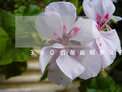 360借条逾期多久会影响征信