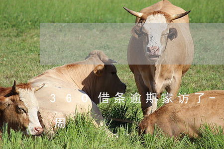 360借条逾期家访了-360借条逾期一周