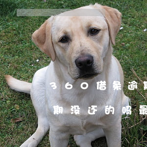 360借条逾期还可以借嘛(360借条有逾期没还的吗?最后怎么样了?)