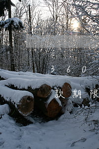 360借条逾期还款期限(360借条逾期还款期限)