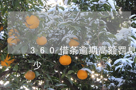 360借条逾期高额罚息(360借条利息多少)