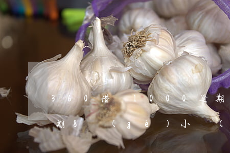 360借條1000逾期一天(360借條逾期8個(gè)小時(shí))
