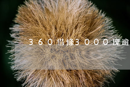 360借條3000塊逾期