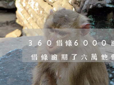 360借條6000逾期會怎樣-欠360借條逾期了六萬他們會找上門嗎