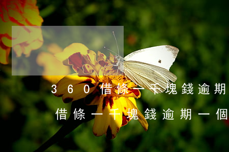 360借條一千塊錢逾期一個多月-360借條一千塊錢逾期一個多月會怎么樣