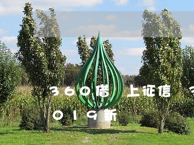 360借條上征信嗎(360借條上征信嗎2019 新)