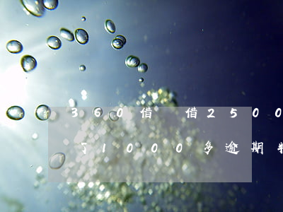 360借條借2500逾期了(360借條欠了1000多,逾期半年了要還多少錢)