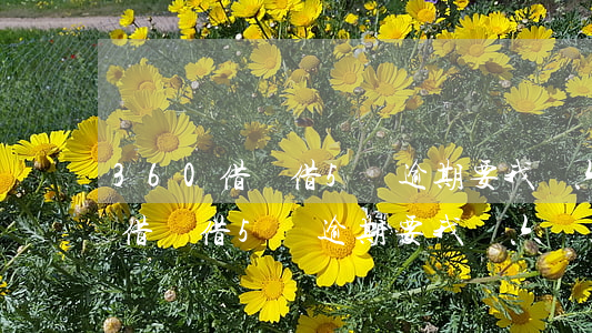 360借條借5萬逾期要我還六萬-360借條借5萬逾期要我還六萬正常嗎