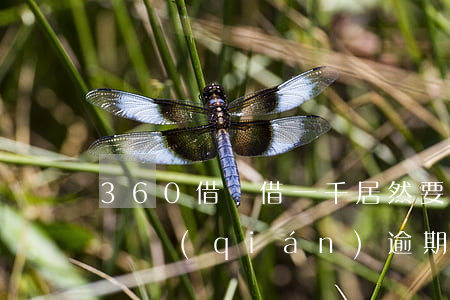 360借條借一千居然要還（360借條一百塊錢(qián)逾期）