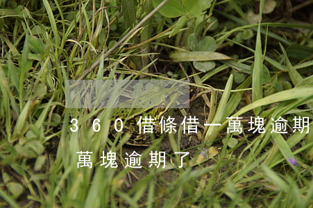 360借條借一萬塊逾期了(360借條借一萬塊逾期了)