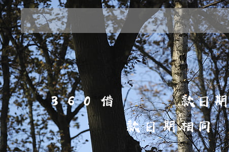360借條兩筆還款日期相同嗎-360借條兩筆還款日期相同嗎怎么辦