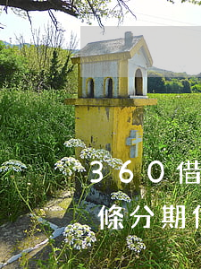 360借條分期不支持當月還款-360借條分期付款,怎么不可以分期提前還款