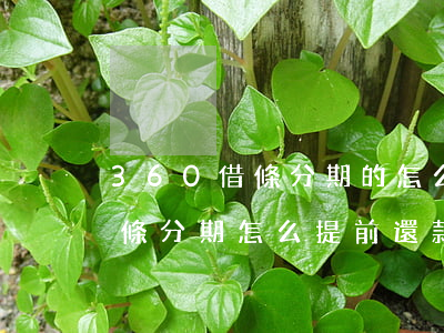 360借條分期的怎么提前還款-360借條分期怎么提前還款步驟