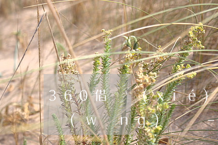 360借條協(xié)商還款后影響其它網(wǎng)貸嗎-360借條協(xié)商還款后影響其它網(wǎng)貸嗎