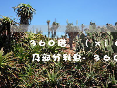 360借條協(xié)商還款能只還本金及部分利息-360借條能否協(xié)商還款