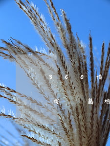 360借條多少起訴(360借條起訴我是來我戶籍地起訴嗎)