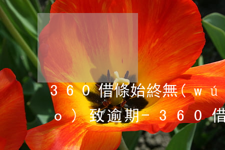 360借條始終無(wú)法還款導(dǎo)致逾期-360借條始終無(wú)法還款導(dǎo)致逾期怎么辦