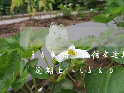 360借條征信有逾期能放款嗎(360借條逾期上報(bào)征信我能收到信息嗎)