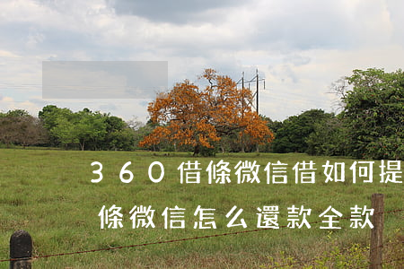 360借條微信借如何提前還款-360借條微信怎么還款全款