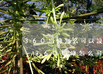 360借條怎么可以設(shè)置還款日-360借條怎么可以設(shè)置還款日期