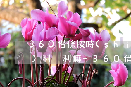 360借條按時(shí)還款會(huì)利滾利嘛-360借條按時(shí)還款沒事吧