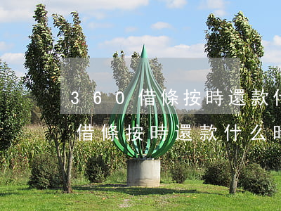 360借條按時還款什么時候提額-360借條按時還款什么時候提額度
