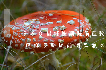 360借條按期提前還款怎么操作-360借條按期提前還款怎么操作的