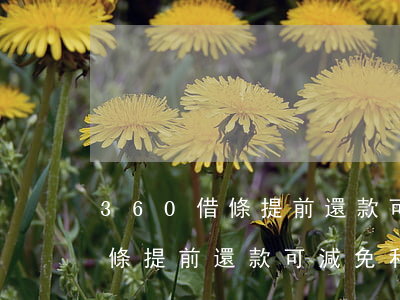 360借條提前還款可減免利息-360借條提前還款可減免利息嗎