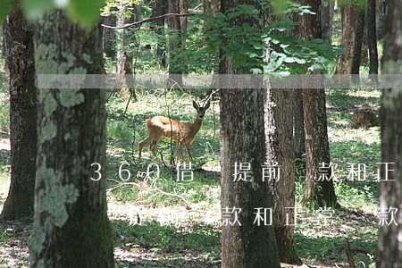 360借條提前還款和正常還款-360借條提前還款和正常還款的區(qū)別