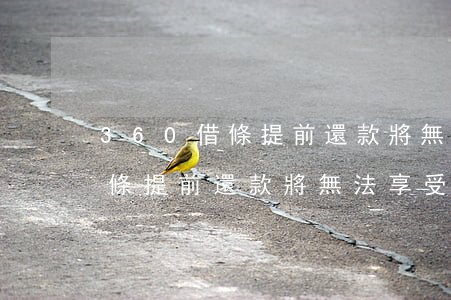 360借條提前還款將無法享受-360借條提前還款將無法享受優(yōu)惠嗎