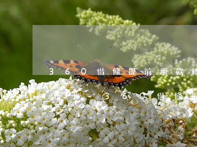 360借條提前還款轉(zhuǎn)賬銀行卡-360借條提前還款轉(zhuǎn)賬銀行卡怎么改