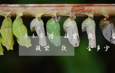 360借條提前還款違約金多少-360借條提前還款違約金多少錢