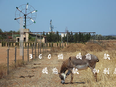 360借條提前還款還扣利息嗎-360借條提前還款還扣利息嗎是真的嗎