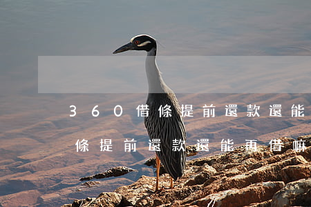 360借條提前還款還能再借嘛-360借條提前還款還能再借嘛