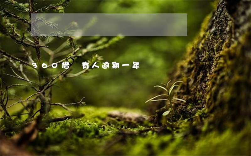 360借條有人逾期一年嗎