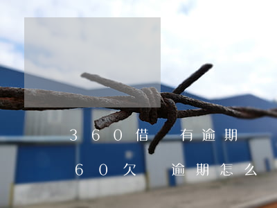 360借條有逾期沒還的嗎?最后怎么樣了?（360欠條逾期怎么辦）