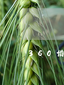 360借條未逾期過(guò)