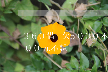 360借條欠5000不還(360借條4500元不想還)