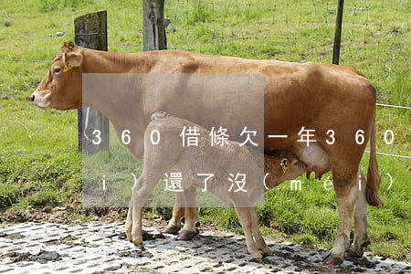 360借條欠一年(360借條兩年沒(méi)還了沒(méi)事吧)