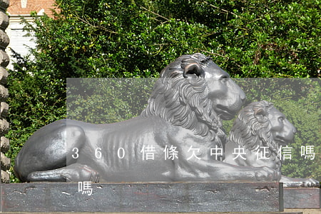 360借條欠中央征信嗎(360借條上征信嗎)
