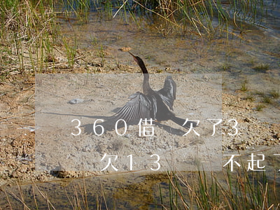 360借條欠了3萬還不上怎么辦(360借條欠13萬還不起了,會有什么后果)