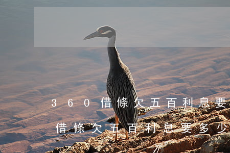 360借條欠五百利息要多少本金-360借條欠五百利息要多少本金才能起訴