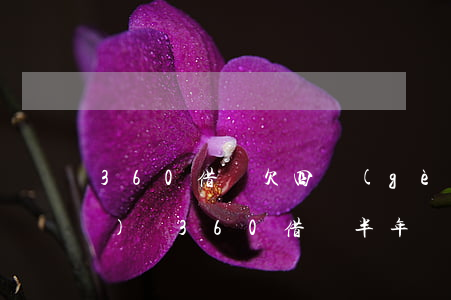 360借條欠四個(gè)多月沒(méi)還(360借條半年沒(méi)還了)