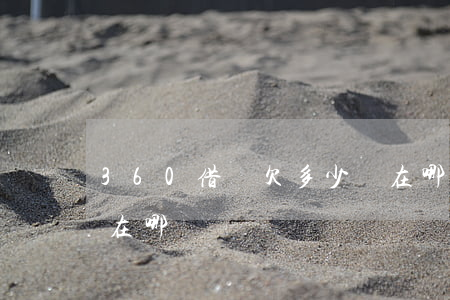 360借條欠多少錢在哪看(360借條借錢在哪)