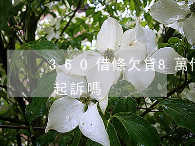 360借條欠貸8萬(借360借條8千多會起訴嗎)
