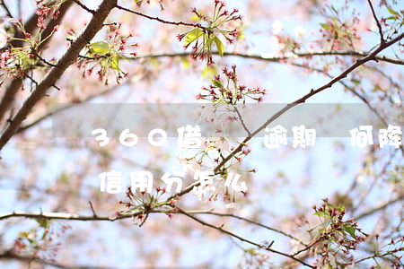 360借條沒逾期為何降信用分(360借條信用分怎么漲)