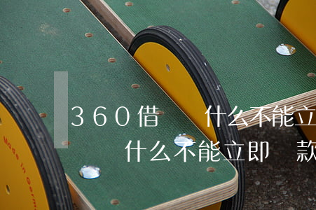 360借條為什么不能立即還款-360借條為什么不能立即還款了