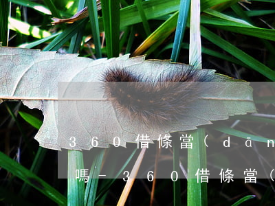 360借條當(dāng)天還款可以再借嗎-360借條當(dāng)天還款可以再借嗎安全嗎