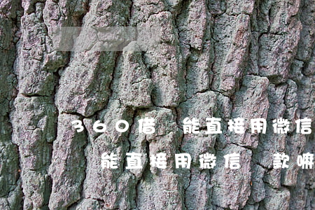 360借條能直接用微信還款嘛-360借條能直接用微信還款嘛安全嗎