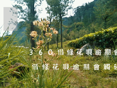 360借條花唄逾期會觸碰法律嗎-360借條花唄逾期會觸碰法律嗎知乎